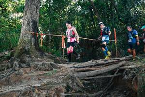 BIB: 
                            <button type="button" onclick="openModal(27755981)" class="btn btn-primary btn-sm float-right btn-popup" data-toggle="modal" data-target=".modal-high-quality">
                        <i class="fas fa-shopping-cart"></i> Add to Cart
                    </button>
                                            <button type="button" onclick="isThisMe(27755981, true)" class="btn btn-success btn-sm float-right btn-popup btn-isme hidden" data-toggle="tooltip" data-placement="bottom" title="นี่คือรูปของคุณใช่ไหม คลิกที่นี่เพื่อเอาเข้าอัลบั้ม">
                        <i class="fas fa-plus"></i> Add to album
                    </button>
                    <button type="button" onclick="isThisMe(27755981, false)" class="btn btn-warning btn-sm float-right btn-popup btn-isnotme hidden">
                        <i class="fas fa-ban"></i> Remove from album
                    </button>